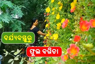 roof-top-farming-in-plastic-bags-and-bottles-in-balangir