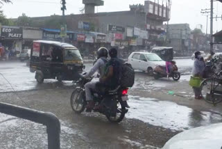 farmers unhappy due to rain in bhiwani