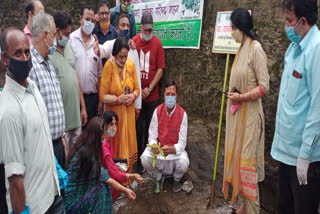 Municipal council Nahan did plantation near Kalisthan