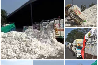 Purchase of 32 lakh 10 thousand quintals of cotton in Wardha district