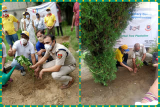 fruit trees plantation in all police station in south delhi