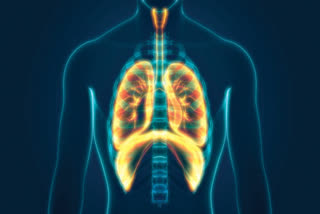 How to strengthen the lungs?