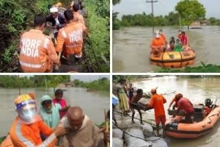 Assam flood