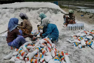 response to etv story on for salt exports in prakasam district