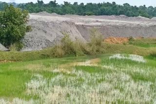 negligence-of-company-working-to-fill-ash-in-stone-quarry-in-korba