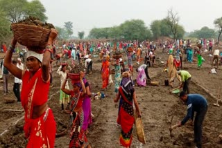 Women working under MNREGA