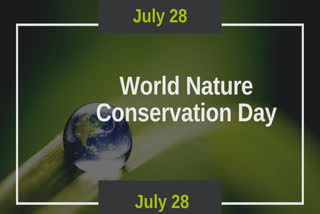 july 28 CELEBRATED AS world nature conservation day,ways to save the environment