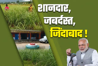 Enthusiasm in women cultivating lemongrass by praising PM Modi in Bishunpur