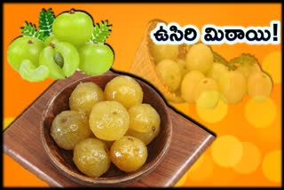 amla-murabba-sweet-with-amla