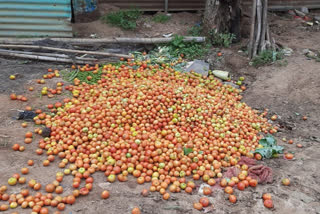 ದಿಢೀರನೆ​​  ಕುಸಿದ ಟೊಮೆಟೊ ಬೆಲೆ