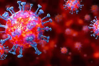 Can you get the coronavirus twice?