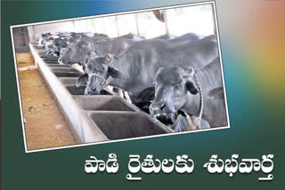 Mega DairyMega Dairy set up at raviryala, rangareddy district