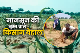 Dausa Agriculture Department, दौसा कृषि विभाग