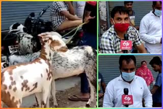 Goats are not being sold in Mehrauli even for Eid