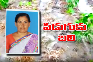 women farmer died with  Thunderbolt in kumuram bheem district