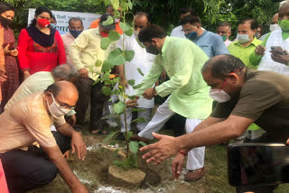 MP Manoj Tiwari launched campaign to plant 30 thousand saplings