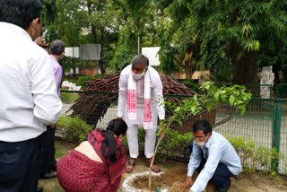 Union Minister of State for Culture and Tourism Prahlad Singh Patel planted saplings