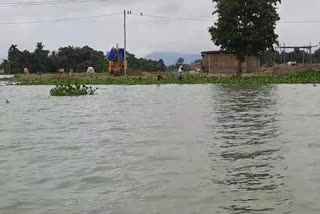 Assam Flood takes 104 peoples lives till now  അസമിൽ വെള്ളപൊക്കം രൂക്ഷം; ഇതുവരെ മരിച്ചത് 104 പേർ  അസമിൽ വെള്ളപൊക്കം രൂക്ഷം  അസമിൽ വെള്ളപൊക്കം  Assam Flood