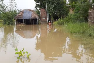 25 lakh people 11 district are affected by flood in bihar