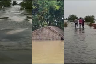 Floodwaters enter new areas in Bihar, nearly 3 million affected in 12 districts