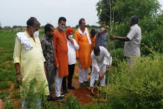 पिछले चार वर्षों से करा रहे हैं वृक्षारोपण.