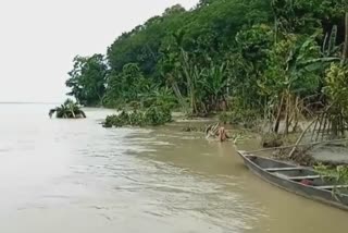 Assam flood situation improves ,death toll to 104