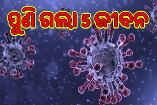 ରାଜ୍ୟରୁ ପୁଣି 5 ଜୀବନ ନେଲା ମହାମାରୀ; ମୃତ୍ୟୁ ସଂଖ୍ୟା 159