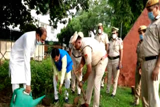 planted trees in South Avenue delhi