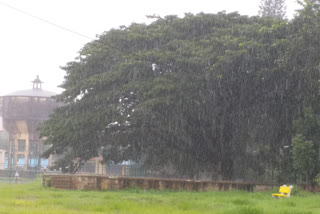 heavy rain in chikkamagaluru district