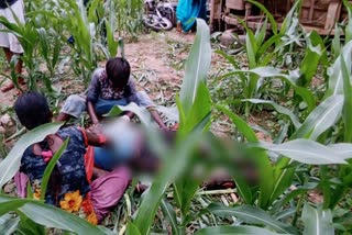 4 people died in land dispute in palamu