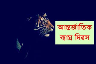 International Tiger Day 2020