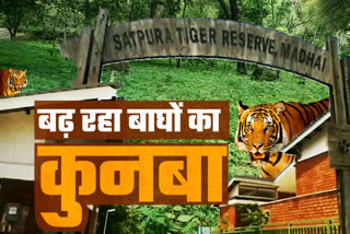 Satpura Tiger Reserve