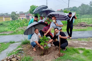 Plantation by BJYM bhoranj