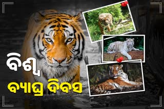 world tiger day