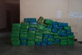 Illigal cannabis seized in assam kokrajhar