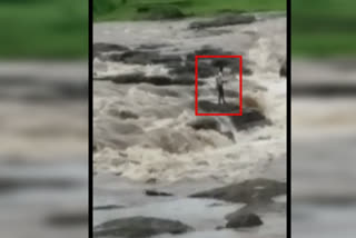 Young man shedding  Machak river  Harda