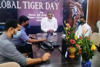 Global Tiger Day