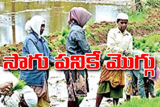 upadhi haami scheme in ap