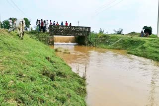 Water released in North Koyal Canal of aurangabad