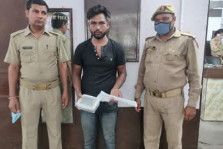 miscreant arrested for stealing pigeon at atta village in noida sector 27