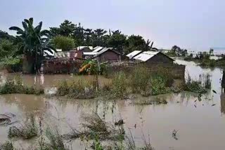 Human death toll to rise 107 in Assam flood