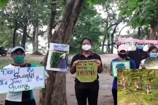 Rakhi and defense thread tied to trees