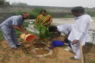 School teachers plantation in Manheru village of Bhiwani