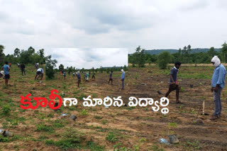 corona-effect-students-participate-harithaharam-plantations-works-at-medak