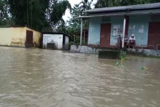 Danger Flood At Baksha District