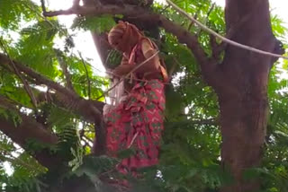 woman climbed on tree because she was not getting justice in a family dispute.