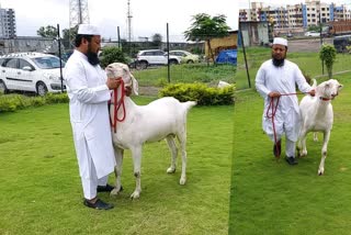 qurbani on bakra eid in vapi