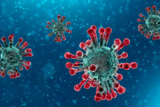confirmation of 23 new cases of coronavirus in muzaffarnagar uttar pradesh