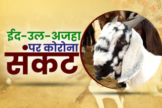 bakra eid festival