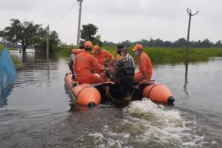 Evacuated over 7,800 people from flood-hit areas of Bihar: NDRF